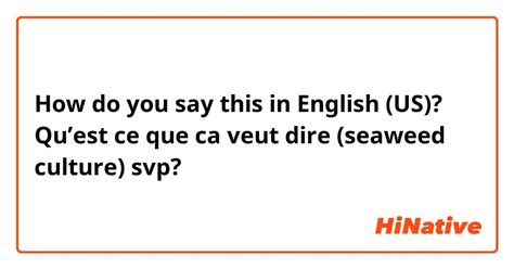 que veut dire salope|English translation of salope